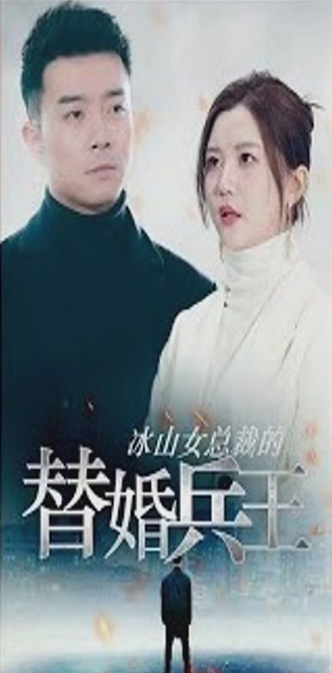 冰山女总裁的替婚兵王第04集