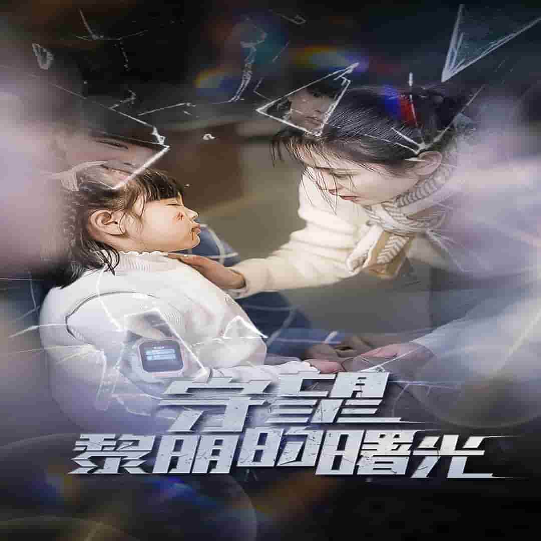守望黎明的曙光第43集